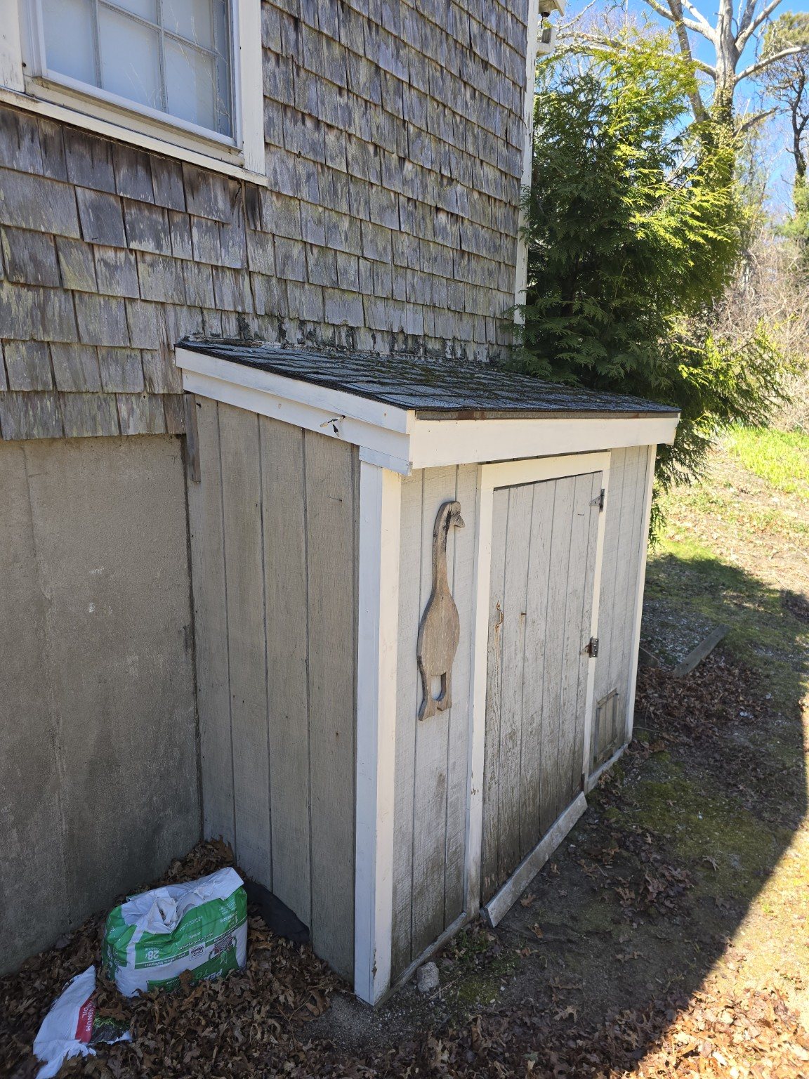 Shed project